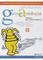 MATEMATICA MODELLI E COMPETENZE   LINEA GIALLA VOLUME 3 Vol. 1