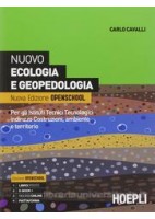 MATH GENIUS  ARITMETICA 2 + GEOMETRIA 2 + EBOOK (ANCHE SU DVD) + PALESTRA DELLE COMPETENZE 2 VOL. 2