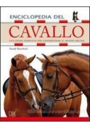 FICHES DE GRAMMAIRE, QUARTA EDIZIONE GRAMMAIRE PRATIQUE DU FRANCAIS AVEC EXERCICES