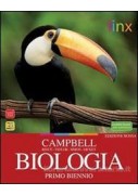 GRAMMATICA PICTA VOLUME UNICO - EDIZ. LINGUISTICI 2? ED
